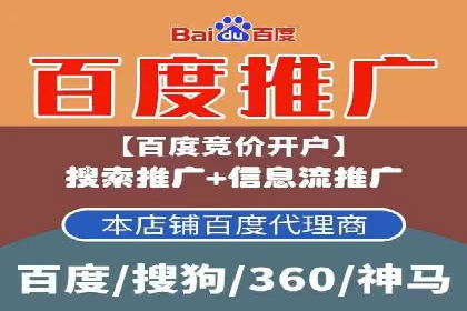 SEM竞价技巧：成功案例揭秘